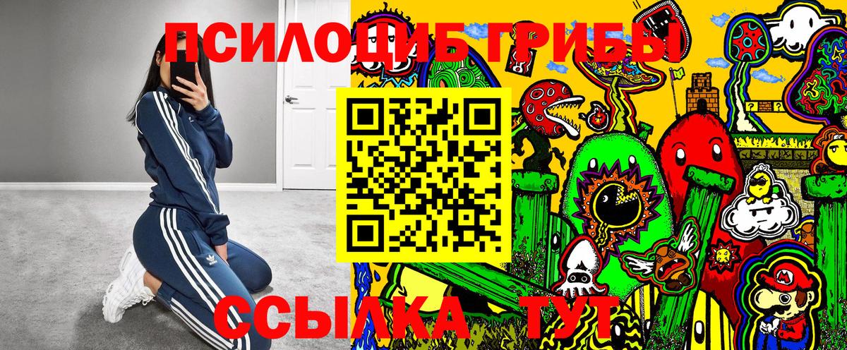 Белореченск  Псилоцибиновые грибы Psilocybine cubensis  Галлюциногенные грибы MAGIC MUSHROOMS  Вход с VPN 